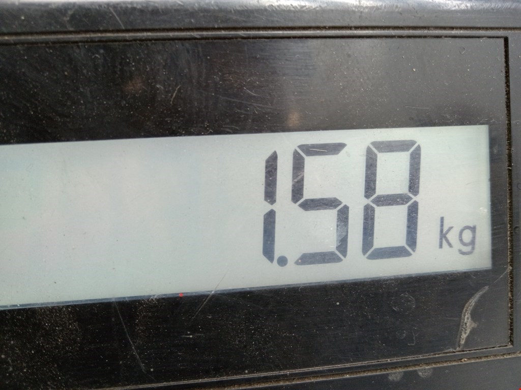 Ремень безопасности передний левый MAZDA Mazda 6 GG 2000-2007