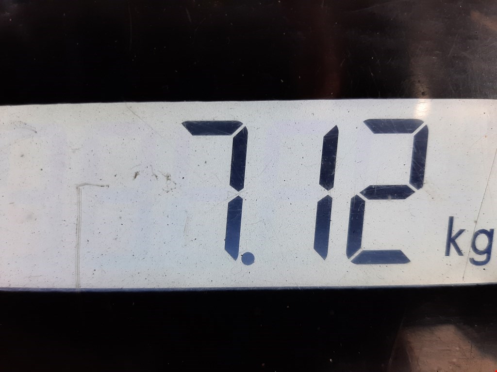 Амортизатор передний правый VOLKSWAGEN Passat B6 2005-2011