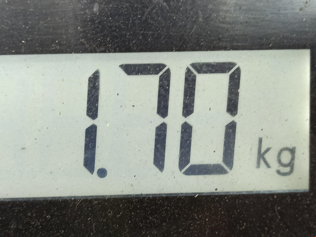 Ремень безопасности передний левый MAZDA Mazda 6 GG 2000-2007