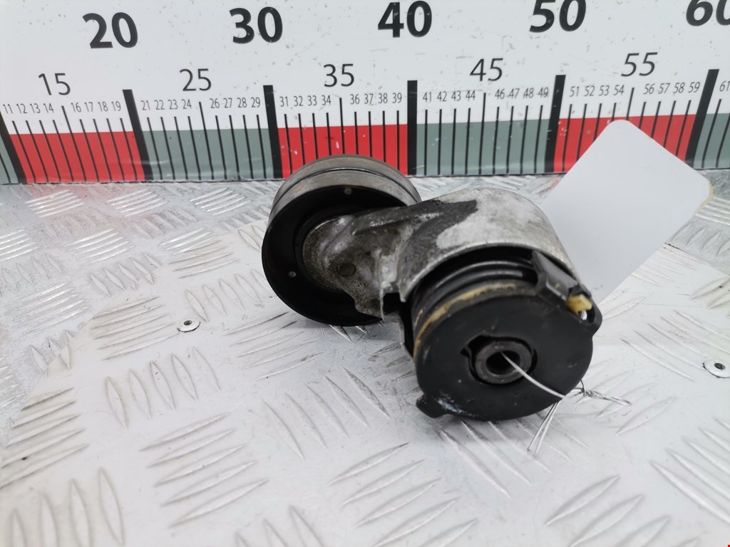 Натяжитель ремня генератора (приводного поликлинового ремня Renault Laguna 2 (2000-2007)