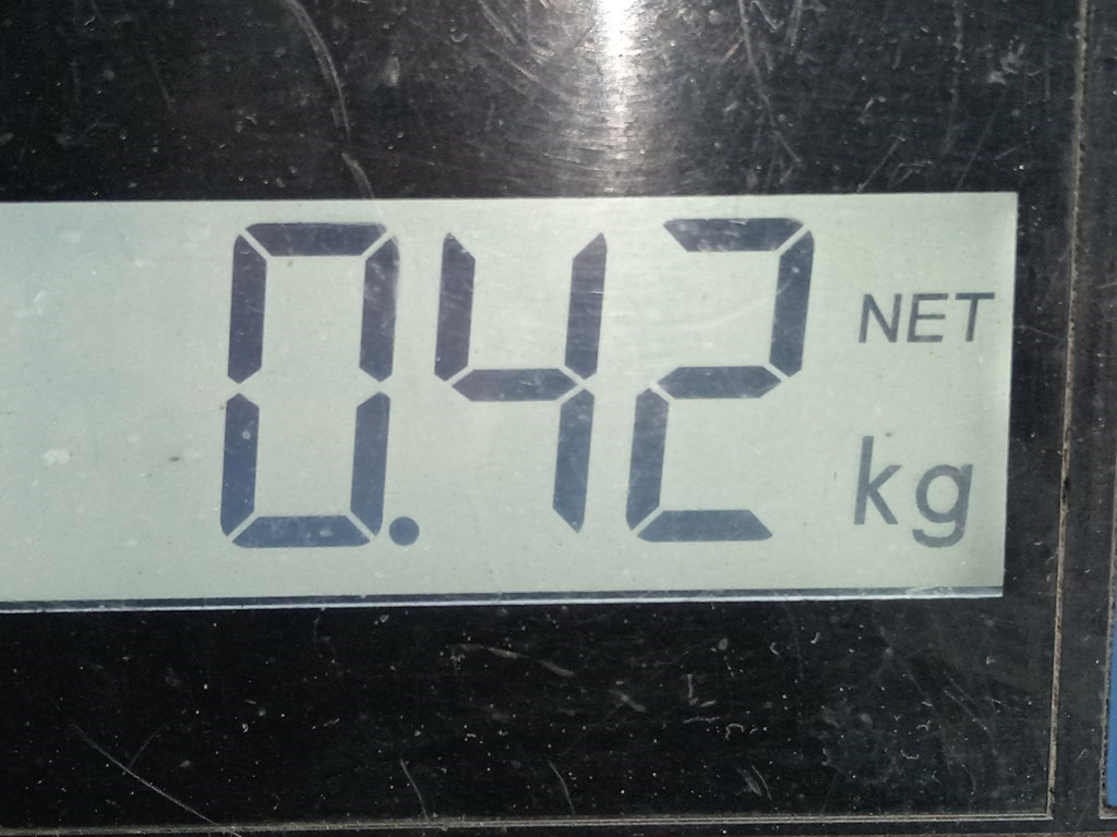 Плафон салонный (салона фонарь) BMW 1er F40 2019-н.в.