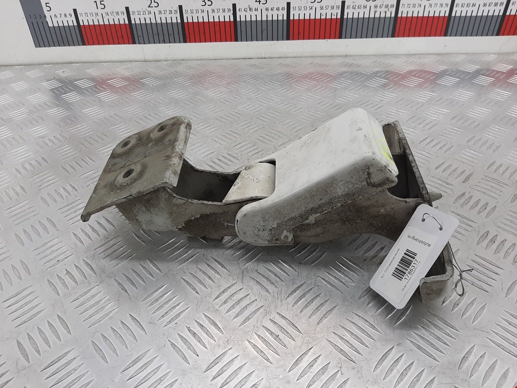 Петля двери распашной Citroen Jumpy (Dispatch) 2 (2006-2016)