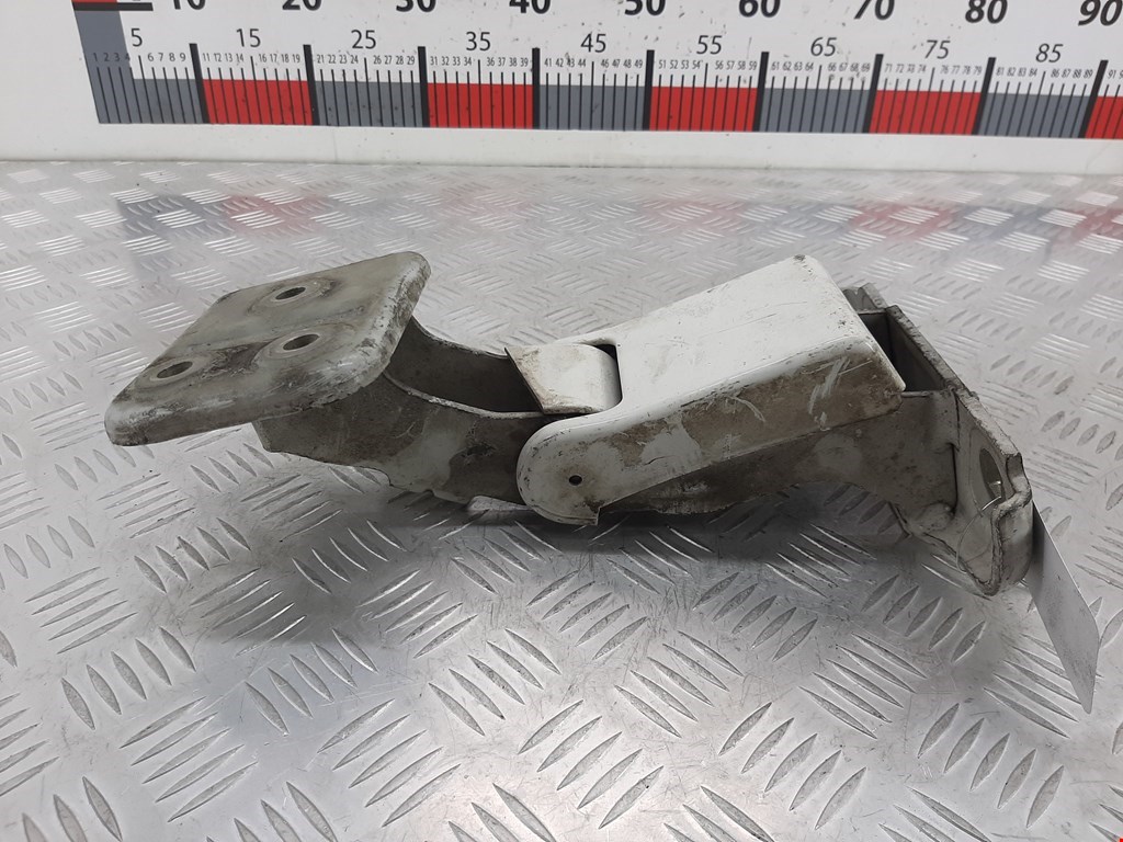 Петля двери распашной Citroen Jumpy (Dispatch) 2 (2006-2016)