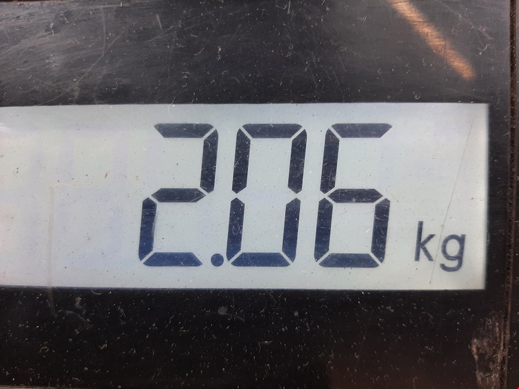 Амортизатор задний левый FORD F-150 2004-2008