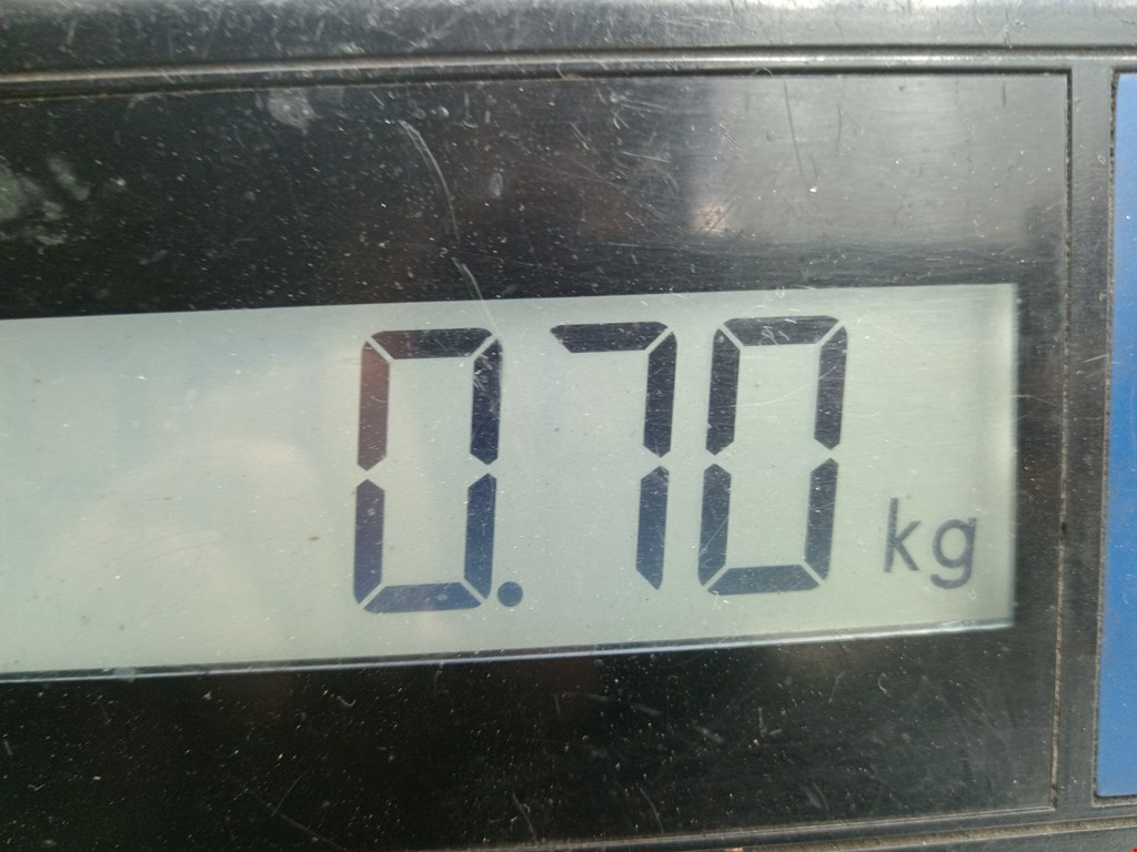 Плафон салонный (салона фонарь) BMW X3 G01 2017-н.в.