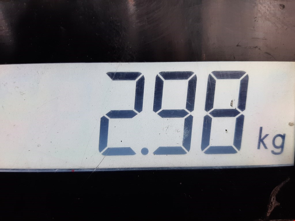 Пружина задняя левая/правая FORD Fiesta 2008-2012