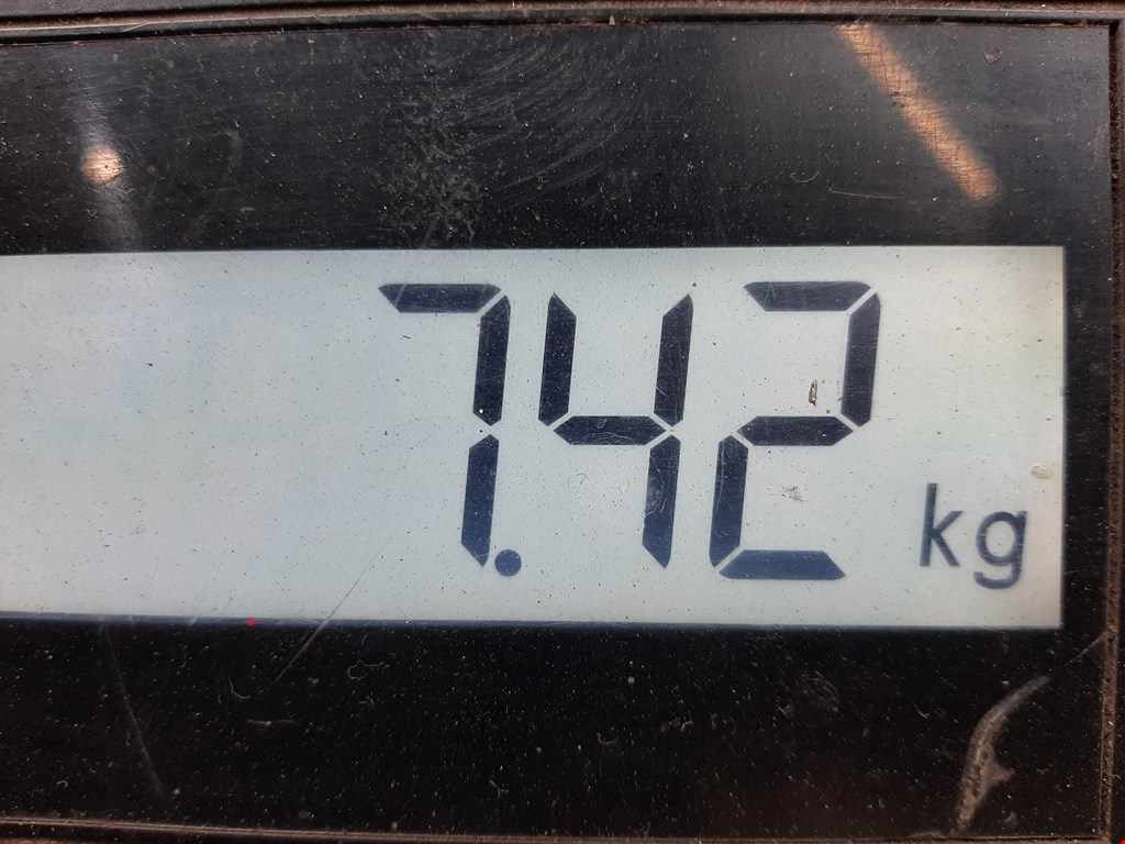 Амортизатор передний правый FORD C-MAX 2010-2019