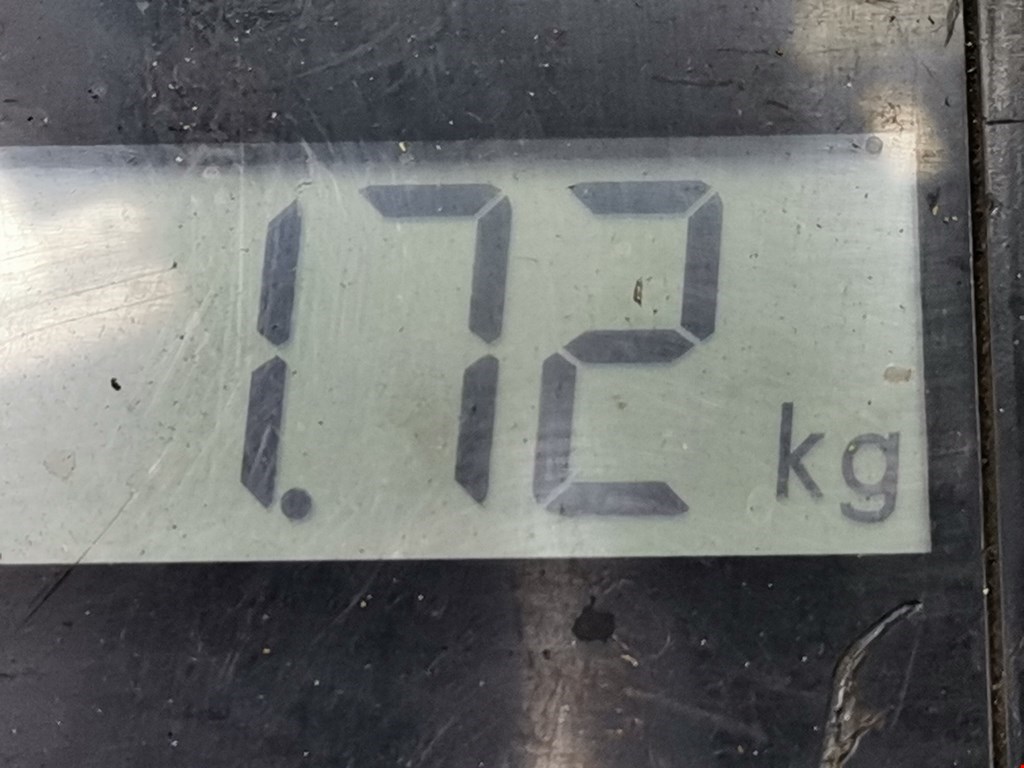 Уплотнитель двери VOLKSWAGEN Passat B5 1997-2005