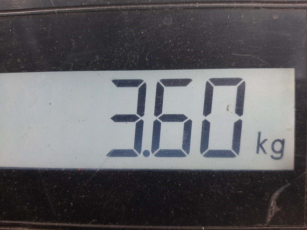 Суппорт передний правый MINI Hatch R56 3-door 2007-2013