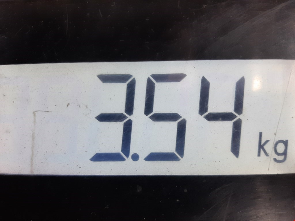 Стабилизатор передний (поперечной устойчивости подвески) FORD Focus III 2011-2019