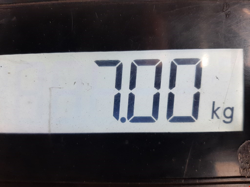 Амортизатор передний правый VOLKSWAGEN Passat CC 2008-2017