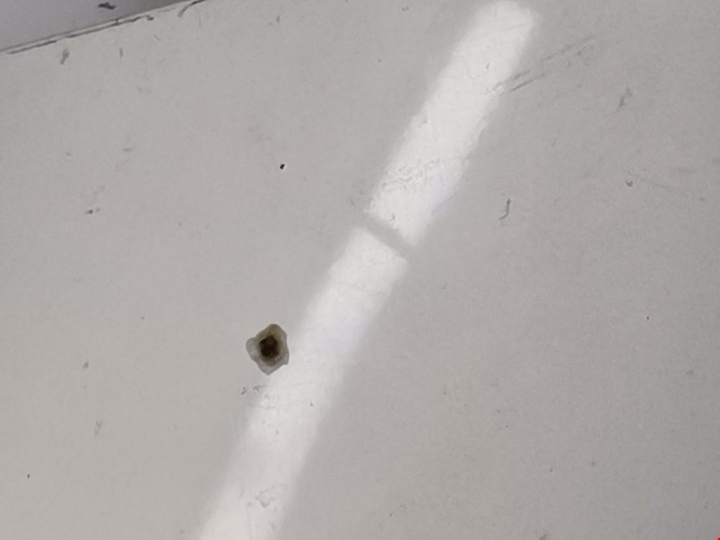 Капот FORD Galaxy 1995-2005