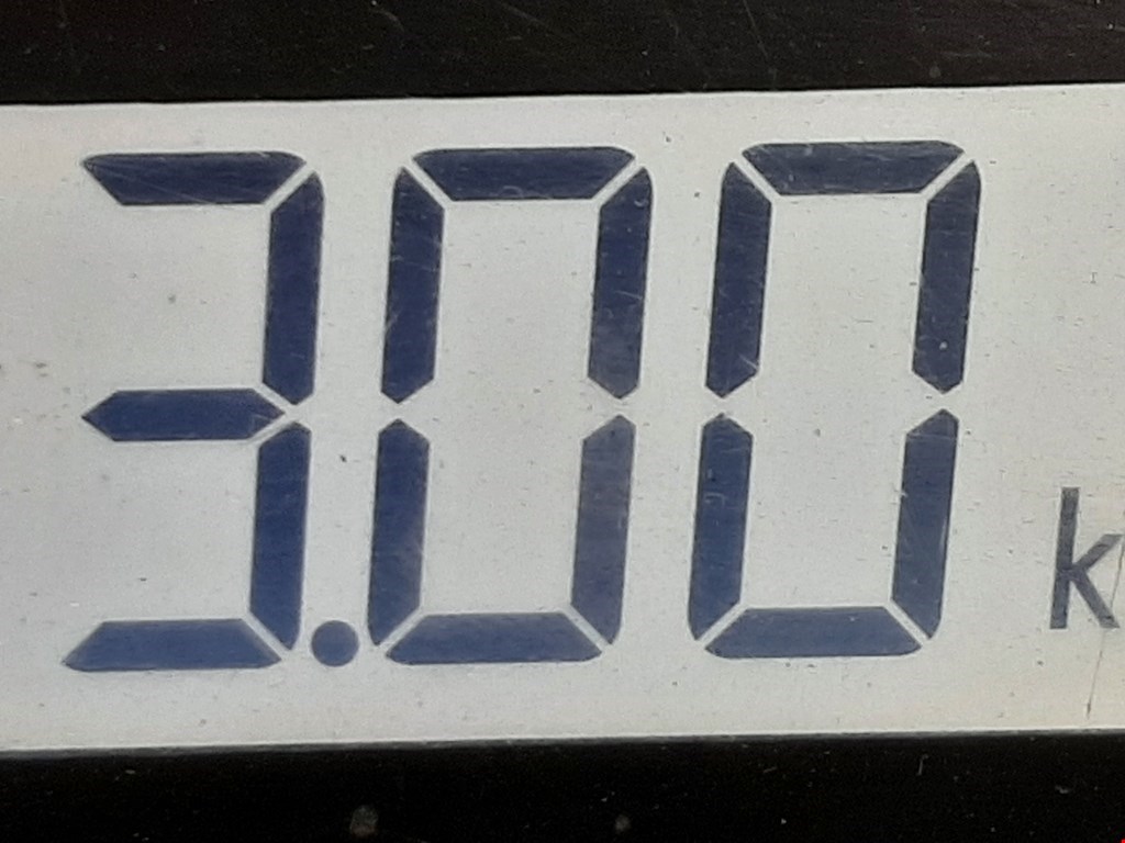 Пружина задняя левая/правая RENAULT Megane II 2002-2009