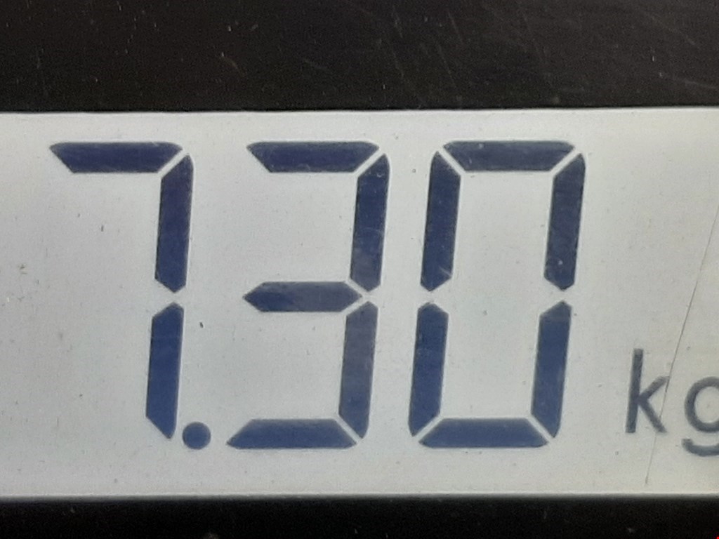 Амортизатор передний правый OPEL Zafira B 2005-2012