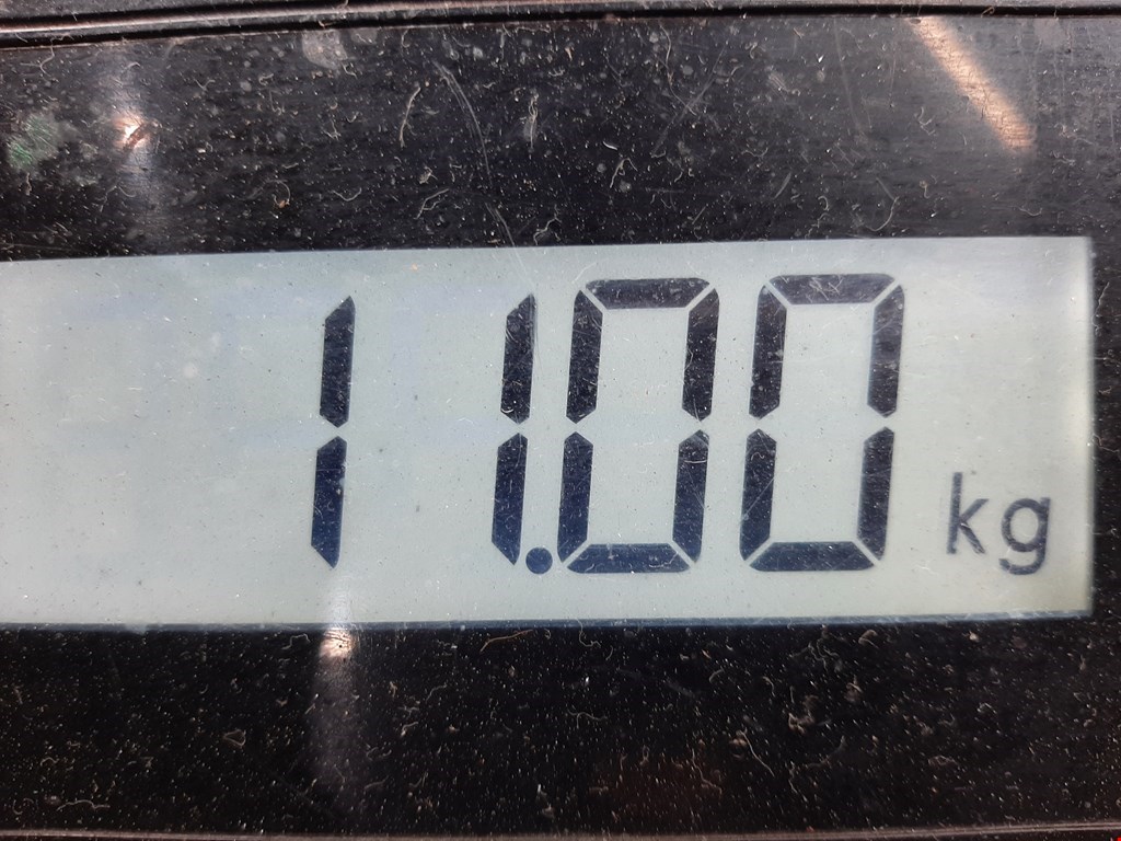 Амортизатор передний левый AUDI Q7 I 2006-2015