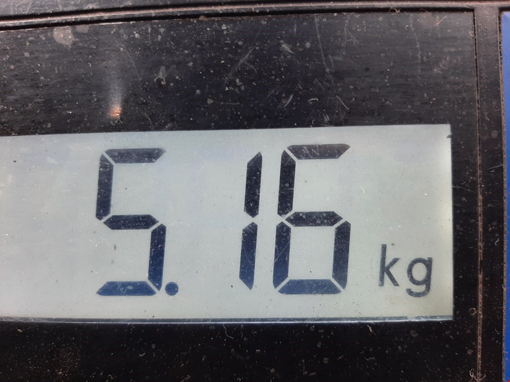 Амортизатор задний левый HONDA CR-V II 2002-2007