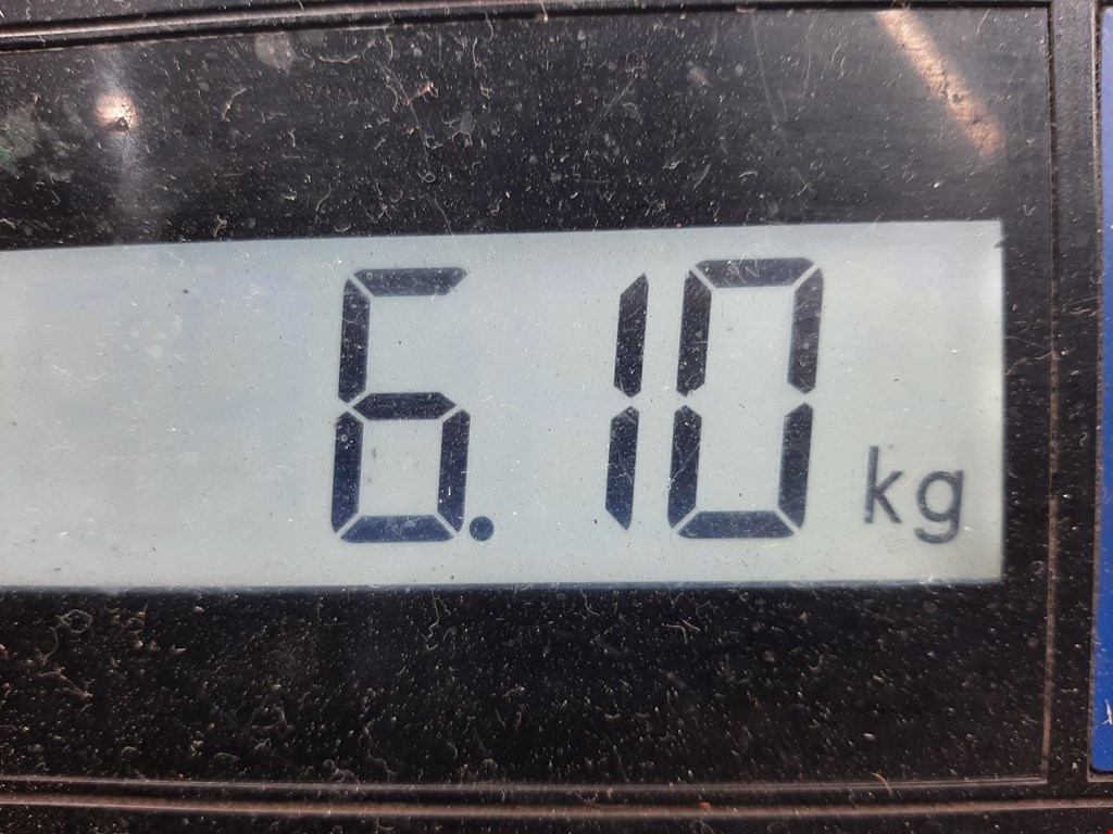 Амортизатор передний правый CITROEN C 2 2003-2008