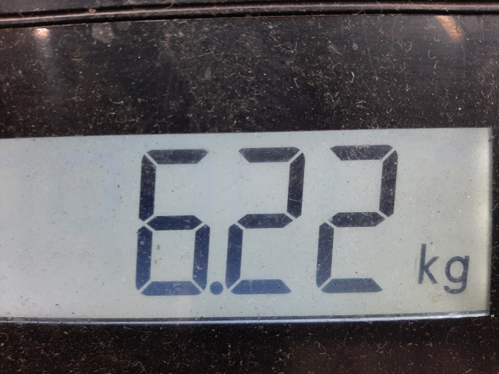 Амортизатор передний правый AUDI A3 8P 2003-2013