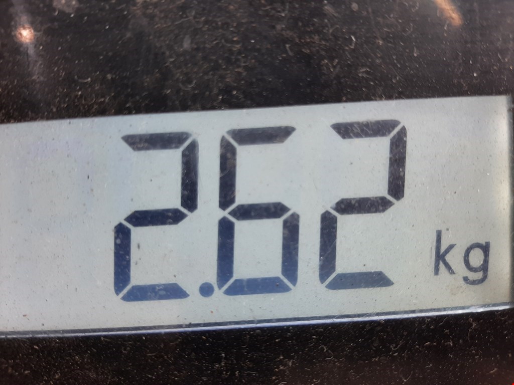 Амортизатор задний правый PEUGEOT 4007 2007-2012