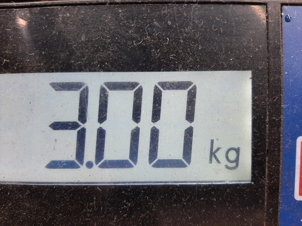 Суппорт передний правый AUDI A3 8P 2003-2013