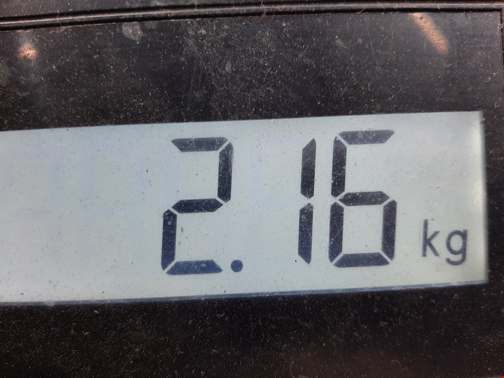 Амортизатор задний левый AUDI A3 8P 2003-2013