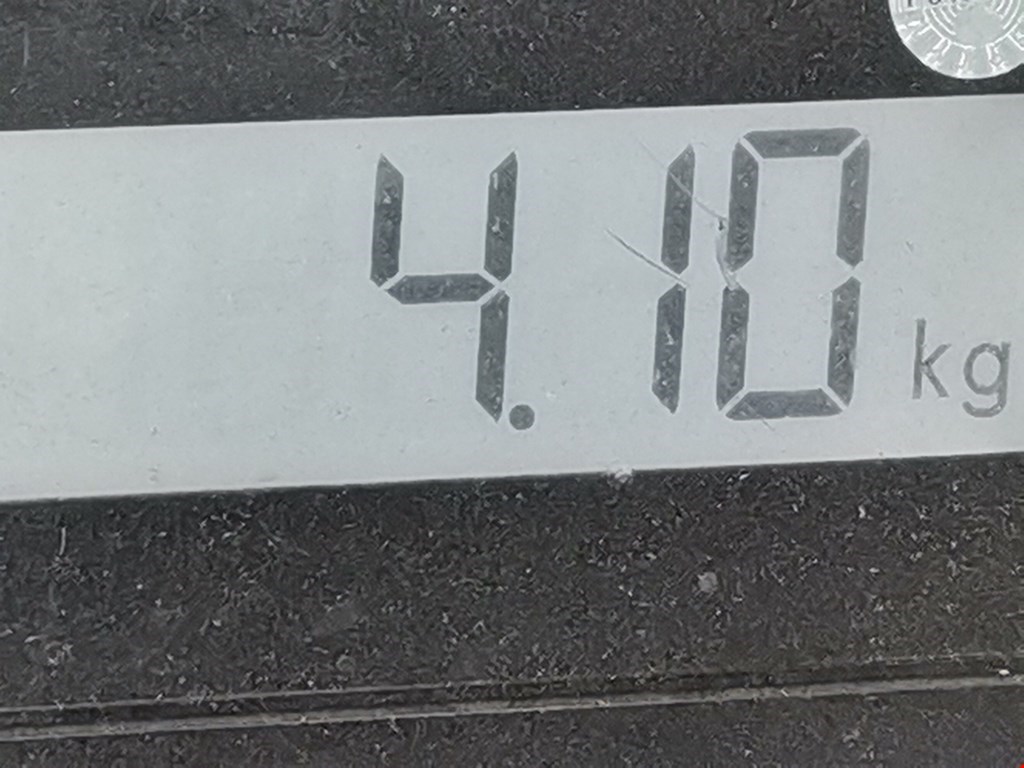 Воздухозаборник (наружный) MAN TGM 2006-н.в.