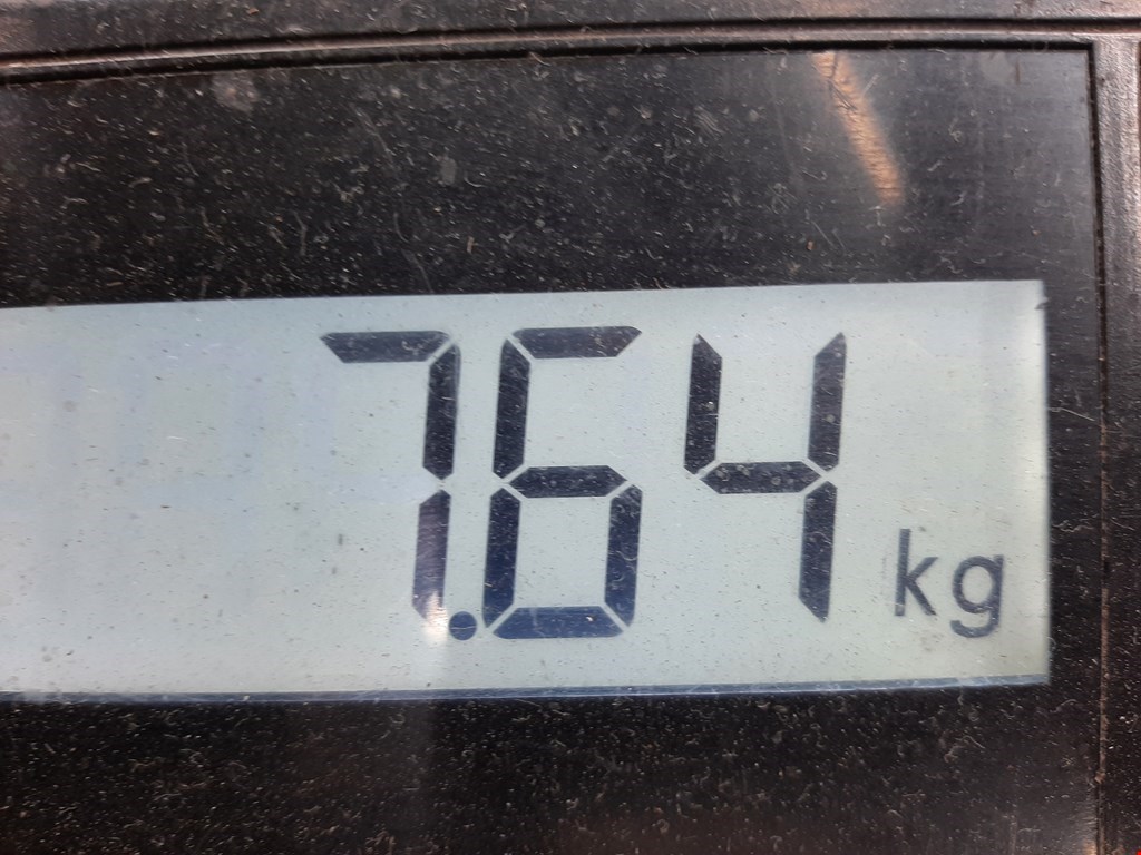 Амортизатор задний левый CHRYSLER 300 M 300M 1998-2004