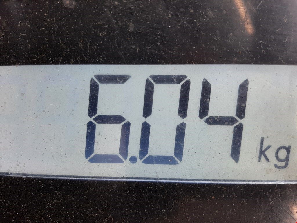 Амортизатор задний правый MAN TGM 2006-н.в.