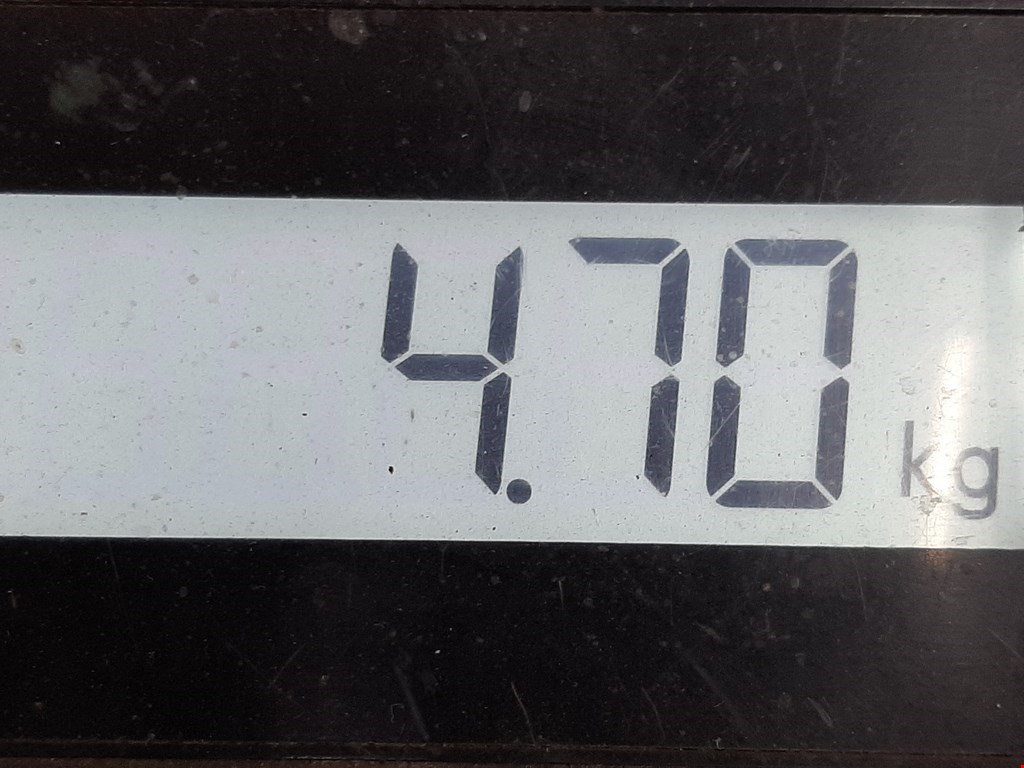 Суппорт задний правый AUDI A4 B8 2007-2015