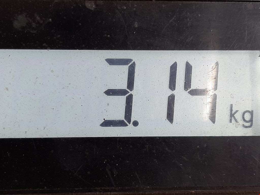 Рычаг передний левый BMW X3 E83 2003-2010