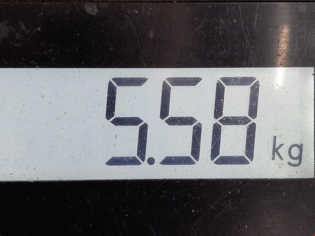 Амортизатор передний левый VOLKSWAGEN Bora 1998-2005