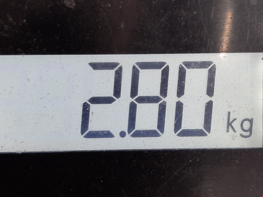 Пружина задняя левая/правая FORD Fiesta 2008-2012