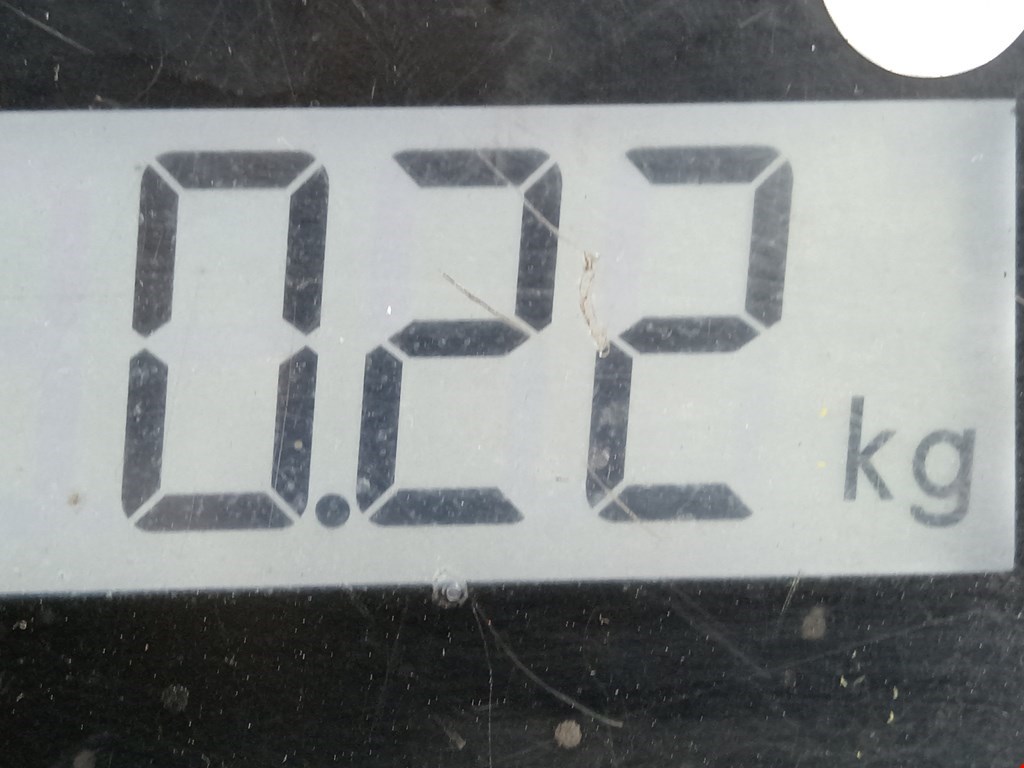 Решетка в бампер MITSUBISHI Lancer X CX, CY,CZ 2007-2017