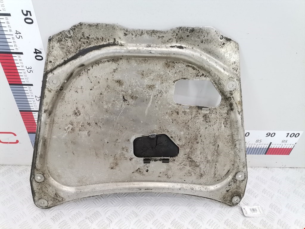 Защита картера (двигателя) BMW X5 E53 1999-2006