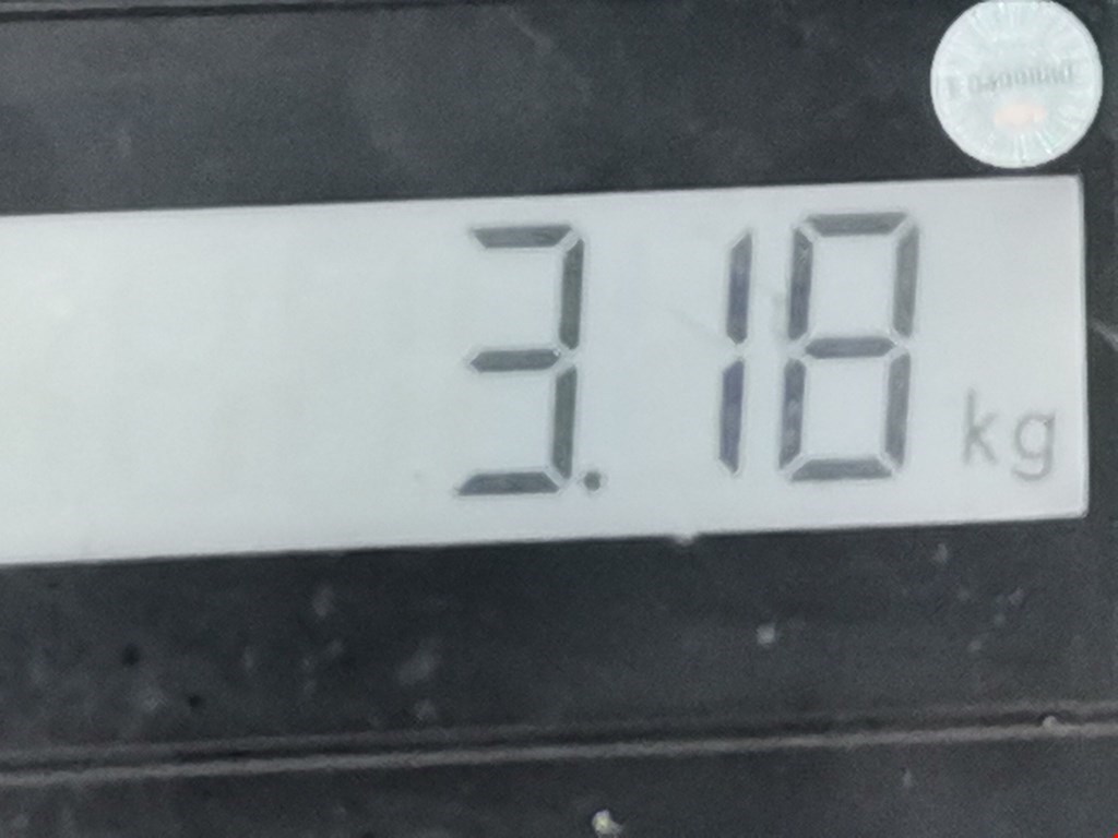 Защита картера (двигателя) BMW X5 E53 1999-2006