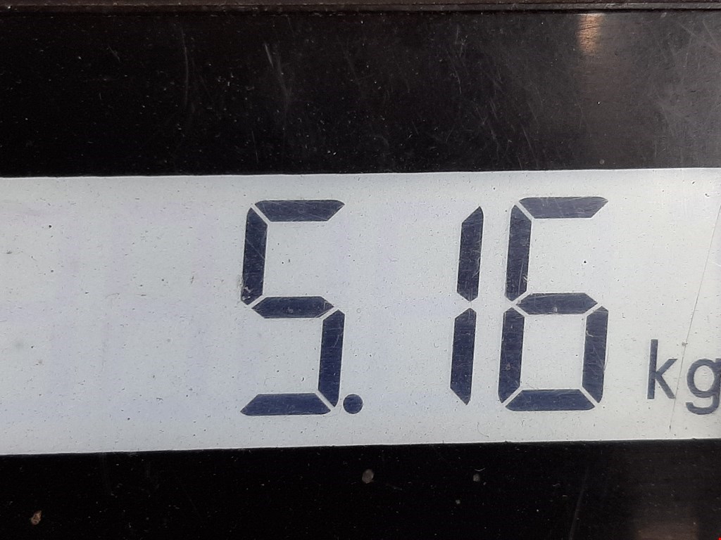 Рычаг передний левый HONDA Jazz 2008-2015