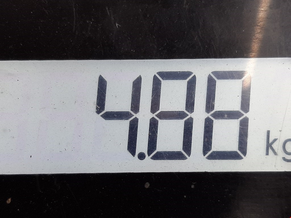 Суппорт передний правый VOLKSWAGEN Passat B5 1997-2005