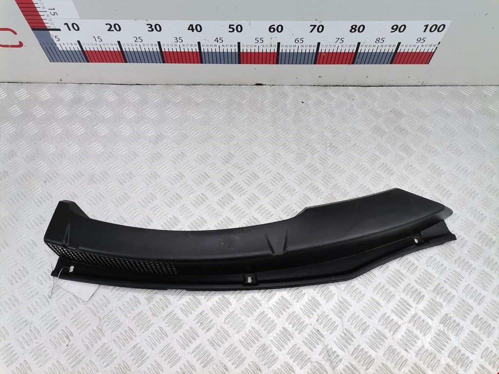 Дождевик (жабо) Renault Scenic 2 (2003-2009)