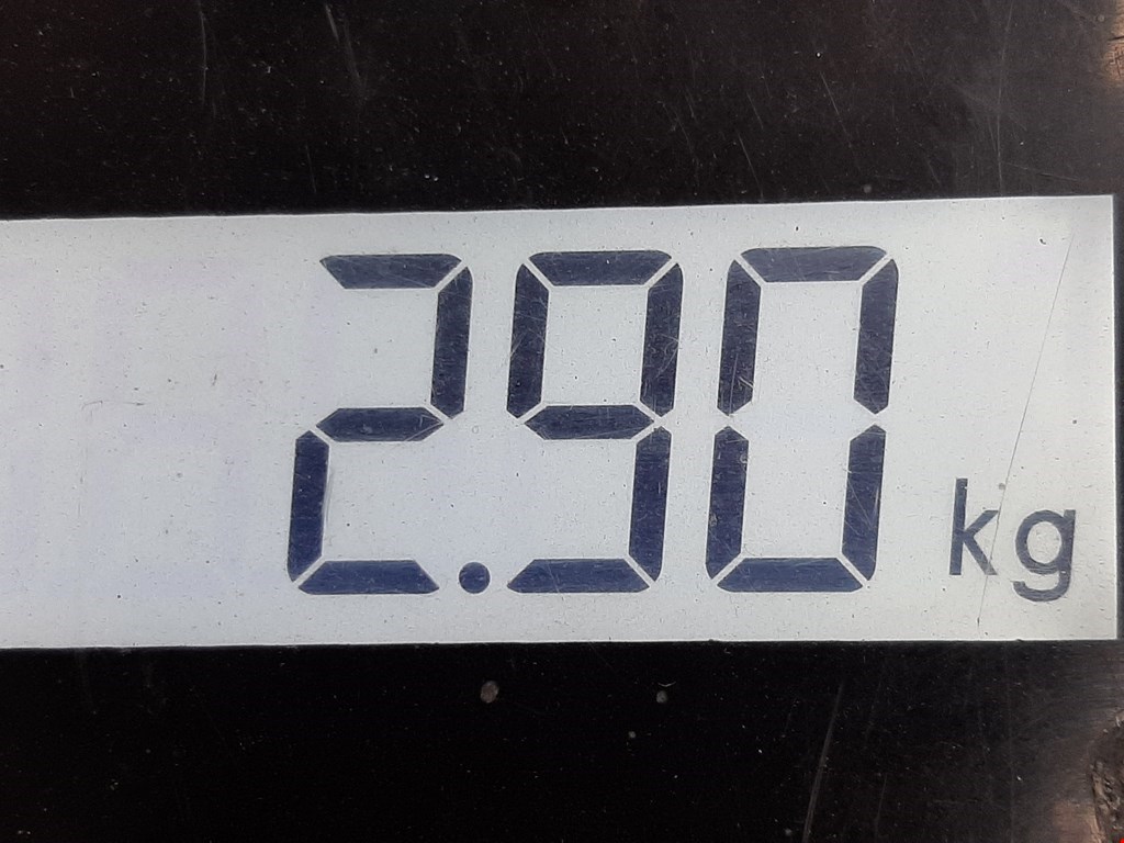 Амортизатор задний правый BMW 5er 5 серия E39 1995-2004