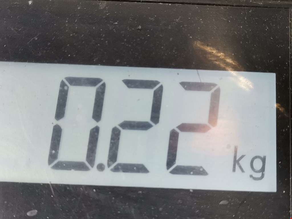 Защита антигравийная FORD Focus III 2011-2019