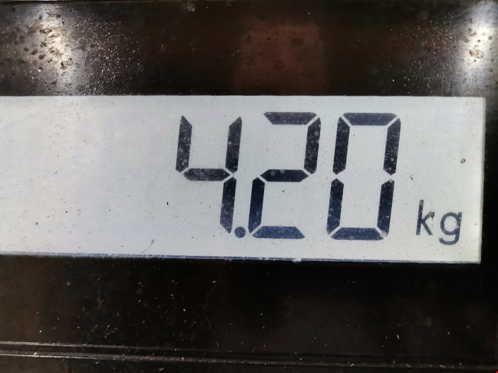 Коллектор выпускной RENAULT Modus 2004-2012