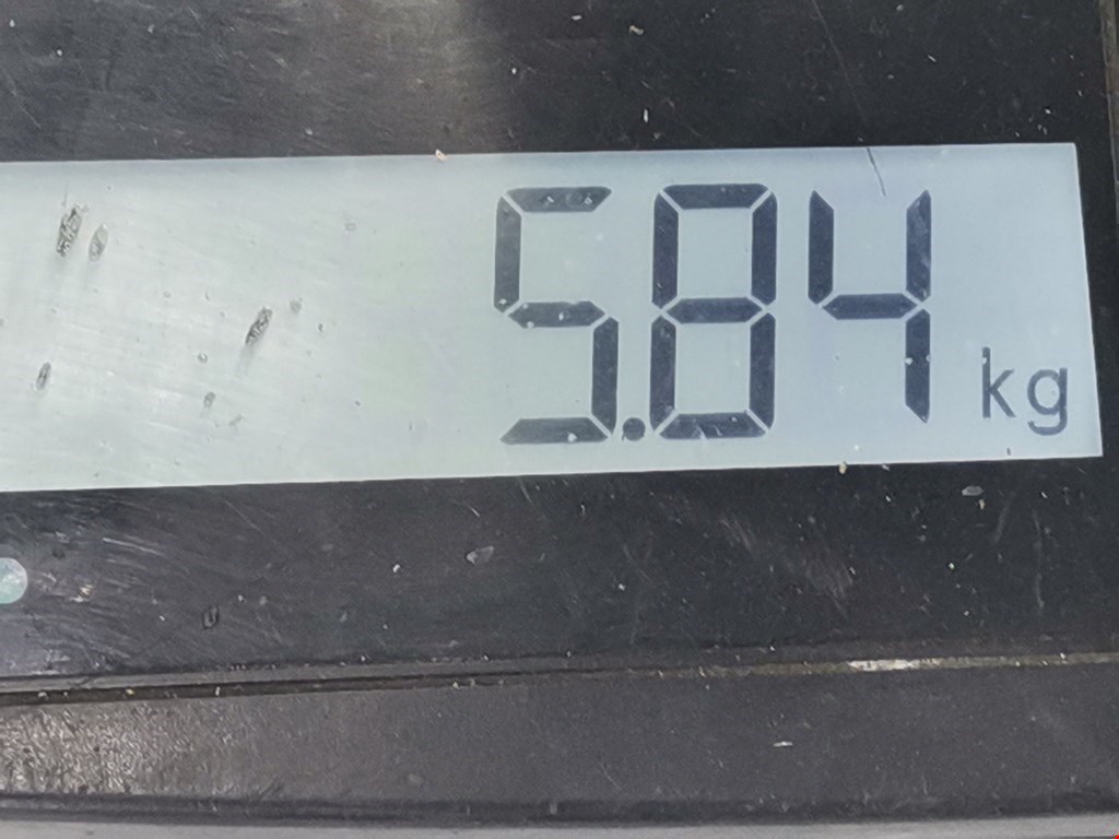 Стабилизатор передний (поперечной устойчивости подвески) OPEL Zafira B 2005-2012