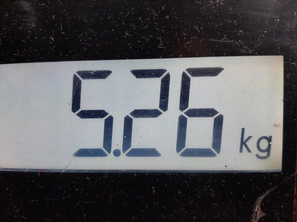 Амортизатор передний правый NISSAN Micra K11 1992-2002