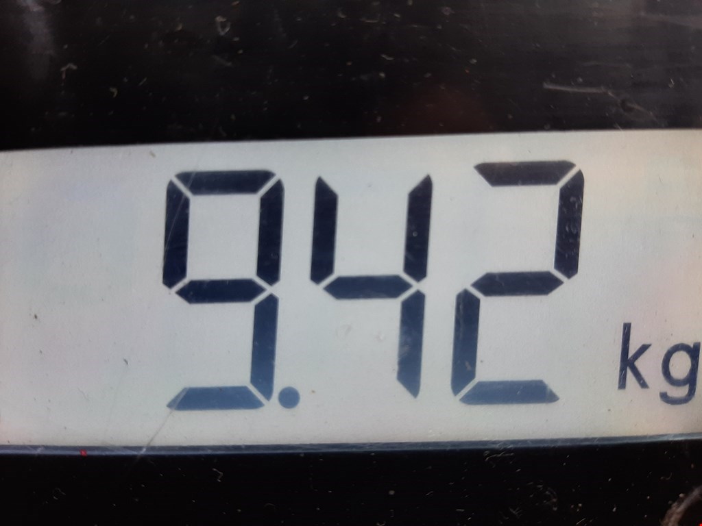 Амортизатор передний правый AUDI A6 C6 2004-2010