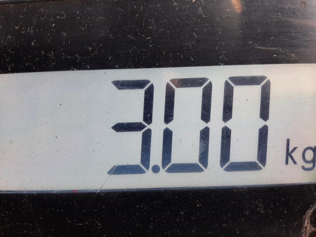 Суппорт передний правый VOLKSWAGEN Passat B5 1997-2005