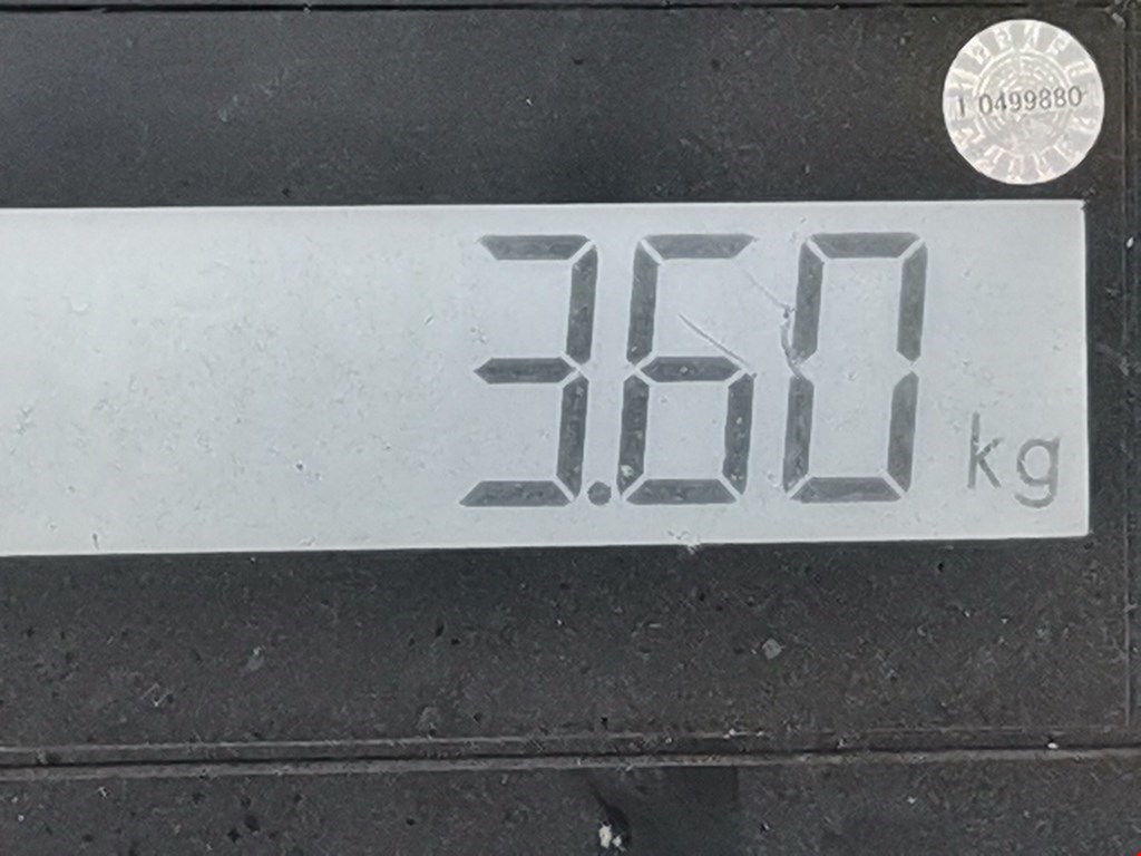 Стабилизатор передний (поперечной устойчивости подвески) CITROEN Xsara 1997-2000