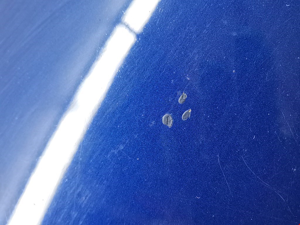 Капот TOYOTA RAV 4 XA20 2000-2005