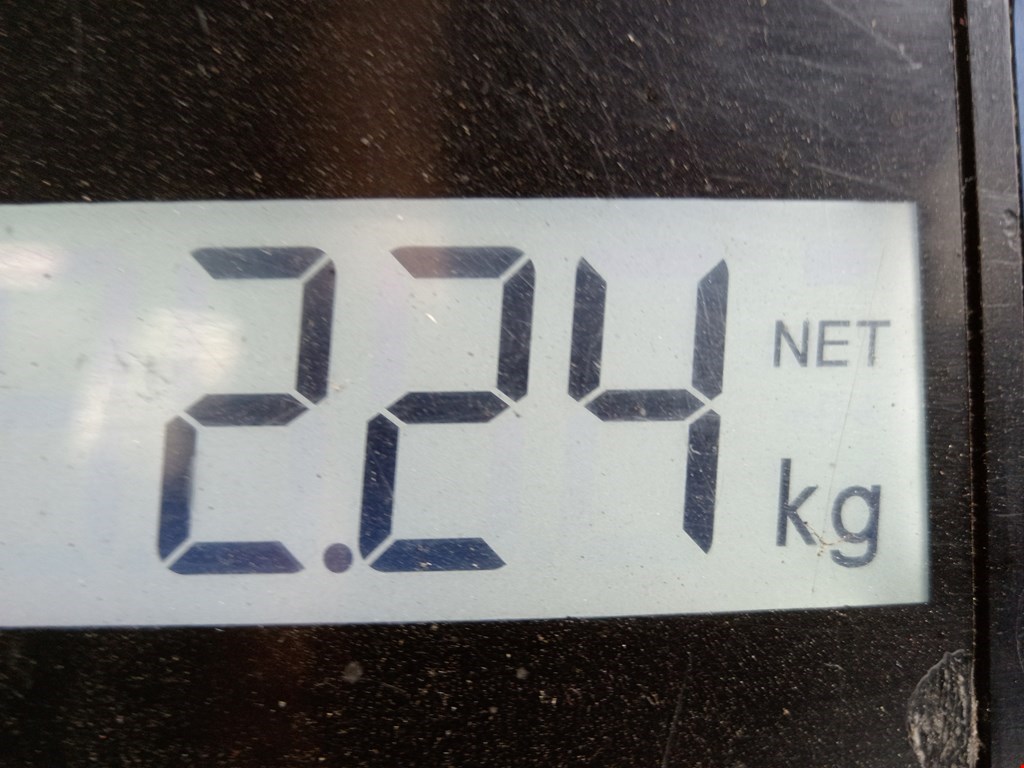 Ремень безопасности передний левый CHEVROLET Cruze 2009-2015