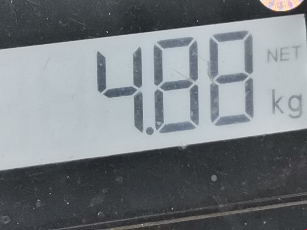 Шторка багажника (полка) SKODA Octavia A5 1Z- 2004-2013