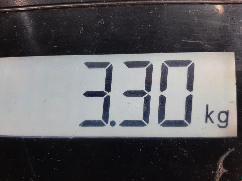 Стартер FORD Focus II 2005-2011